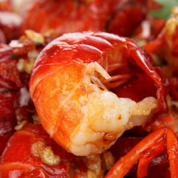 小龍蝦的南北之爭，到底哪個更香？